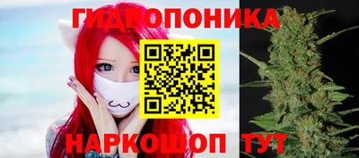 кокс Аша