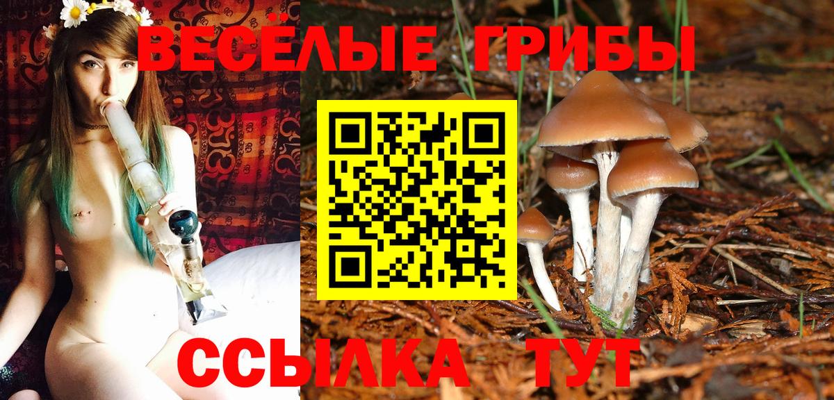 Астрахань  Псилоцибиновые грибы мухоморы  Галлюциногенные грибы GOLDEN TEACHER  Вход с VPN 