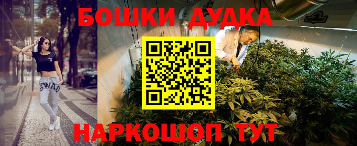 Бошки Шишки план Астрахань